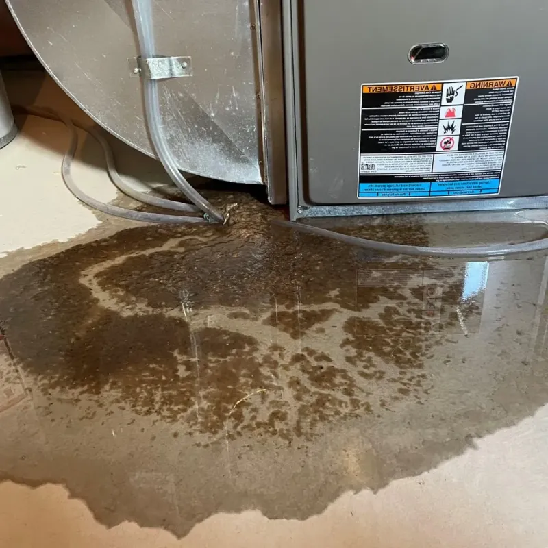 Pipe Burst and Leak Restoration in Forest Oaks, NC