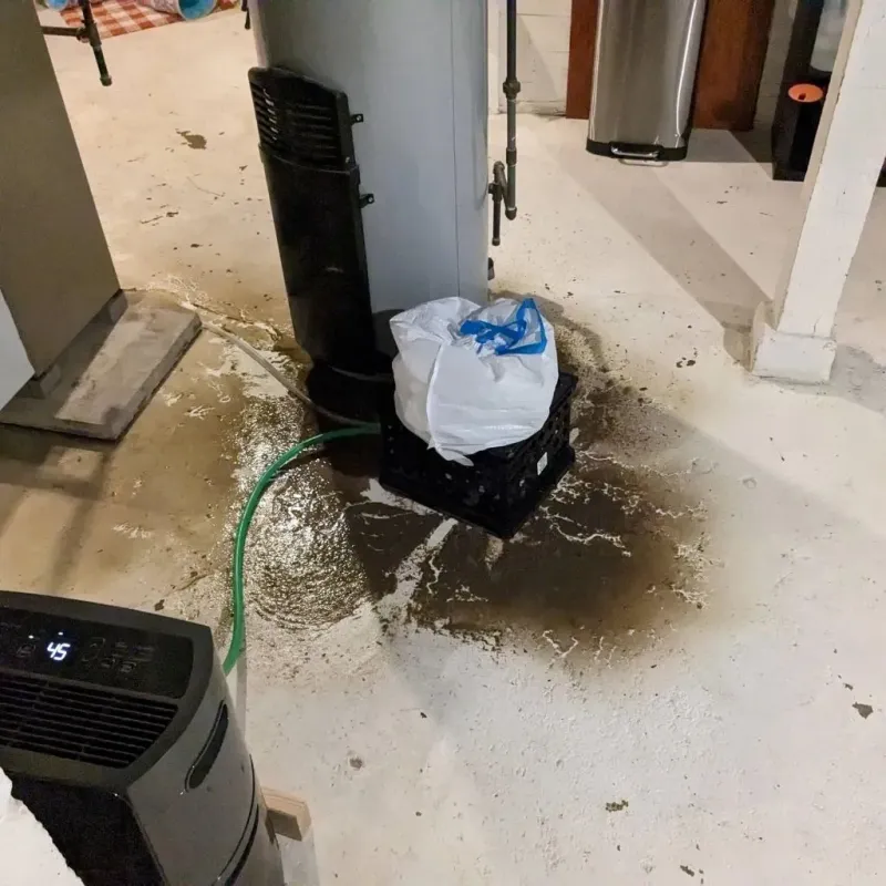 Sewage Backup Cleanup Service in Forest Oaks, NC